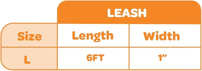 Best Pet Supplies Voyager Reflective Dog Leash or Collar with Neoprene Handle, for Small, Medium, and Large Breed Puppies, Cute and Heavy Duty for Walking, Running and Training - Turquoise (Leash), L