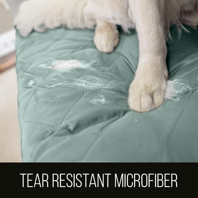 Sofa Shield Couch Slip Cover with Patented Strap, Cushion Protector, US Designed Reversible Stain and Dog Tear Resistant Slipcover, 62 inch Seat, Washable Covers for Dogs Pets, Seafoam Cream