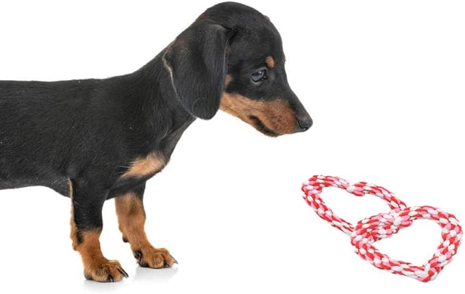 Barleygoo 3PCS Valentine's Day Dog Rope Toys Heart Shaped Durable Chew Toy for Small to Medium Dogs