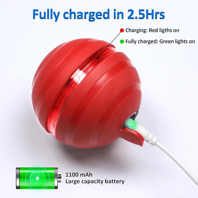 BENTOPAL Interactive Dog Balls with Motion Activated, Wicked Ball Squeaky Dog Toy Oxford Bag Keep Dogs Busy (Red Ball)