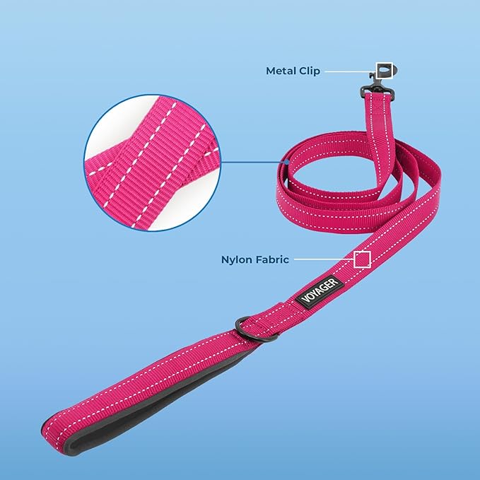 Best Pet Supplies Voyager Reflective Dog Leash or Collar with Neoprene Handle, for Small, Medium, and Large Breed Puppies, Cute and Heavy Duty for Walking, Running and Training - Fuchsia (Leash), L