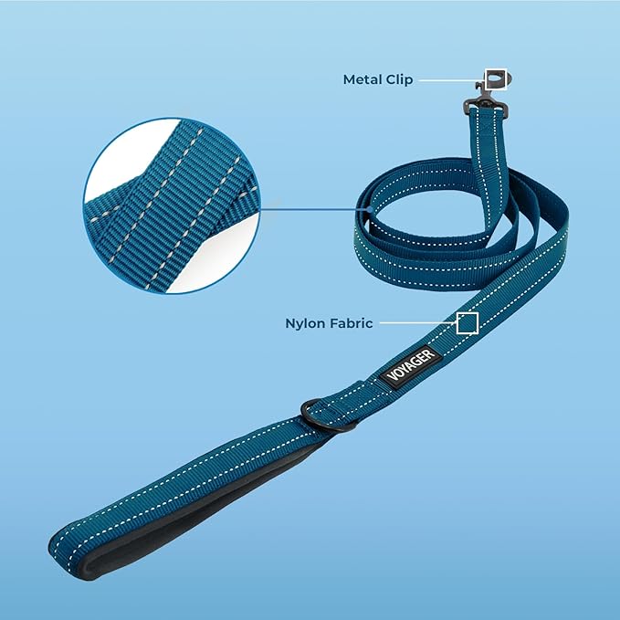 Best Pet Supplies Voyager Reflective Dog Leash or Collar with Neoprene Handle, for Small, Medium, and Large Breed Puppies, Cute and Heavy Duty for Walking, Running and Training - Blue (Leash), S