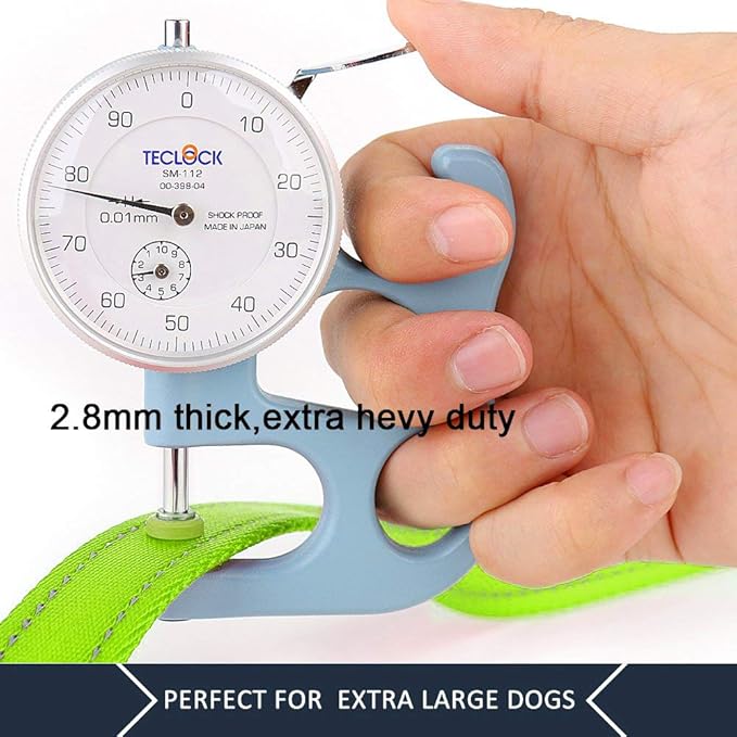 Plutus Pet Double Handle Dog Leash 4ft, Heavy Duty, Reflective Dual Handle Dog Leash for Safety Training, for Medium Large Dogs,2 Handle Leads(Green)