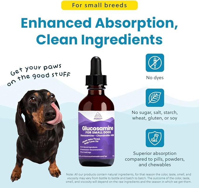 Paramount Pet Health Liquid Glucosamine for Small Dogs, 260mg Glucosamine Liquid for Dogs Joint Supplement for Mobility & Comfort, Easy-to-Use Liquid MSM & Chondroitin, 2 oz