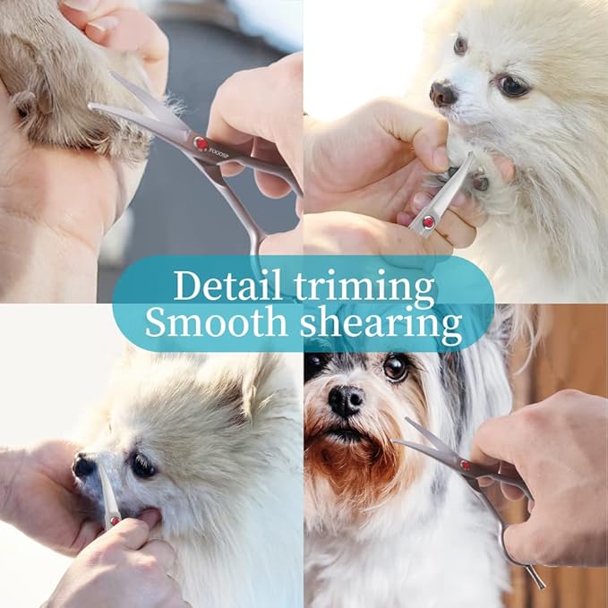 FOGOSP 4.5" Curved Dog Scissors for Grooming Face and Paws with Safety Round Tip for Small Dogs Face Paw Ears Trimmer Professional Small Cat Grooming Shears (4.5" Curved, Gray)