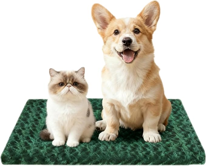 Dog Crate Bed Pad – Reversible Fleece Mat for Small, Medium, Large Dogs – Soft & Washable Anti-Slip Dog Bed Mat for Cages and Kennels – Comfortable, Durable Sleeping Pad for Dogs, Green, M