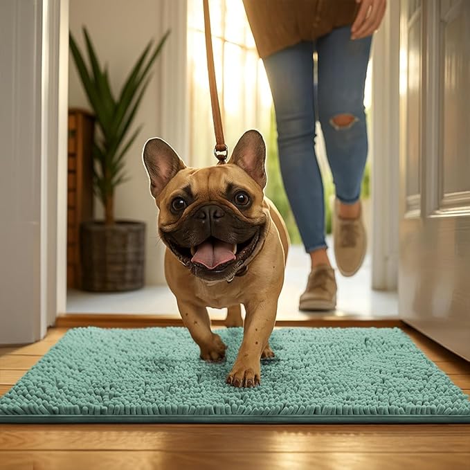 MudGuard Mat™ Dog Door Mat for Muddy Paws, Super Absorbent Microfiber, Non-Slip Indoor Mat, Quick Dry Chenille Mud Mat for Dogs & Entryway, Washable, Sea Green 24" x 36"