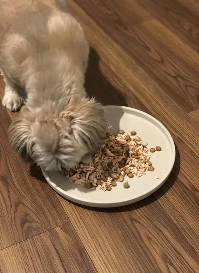 Arespark Dog Food Mat, Nonslip Waterproof Dog Silicone Feeding Bowl Mat with Raised Edges for Floors Prevent Spills, Round Eating Plate Puppy Supplies 10inch