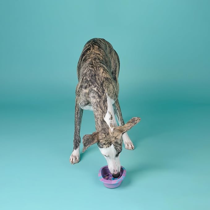 CHEWFFON Interactive Dog&Cat Lick Mat Bowls, BPA-Free Silicone Dog Slow Feeder Bowl with Suction Cups, Non Slip Food Bowl for Dogs and Cats, Reduces Boredom and Anxiety, Dishwasher Safe, Rainbow Small