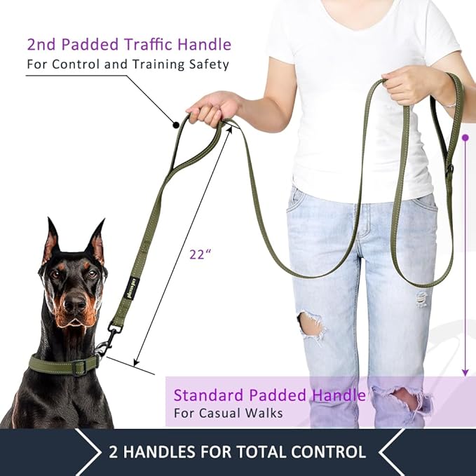 Plutus Pet Double Handle Dog Leash 6ft, Heavy Duty, Reflective Dual Handle Dog Leash for Safety Training, for Medium Large Dogs,2 Handle Leads, Ranger Green