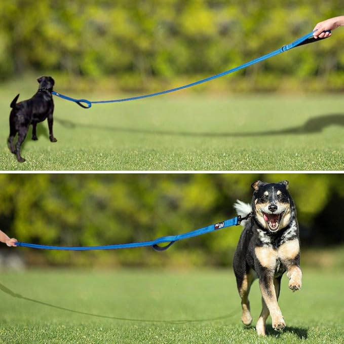 Plutus Pet Double Handle Dog Leash 5ft, Heavy Duty, Reflective Dual Handle Dog Leash for Safety Training, for Medium Large Dogs,2 Handle Leads(Blue)