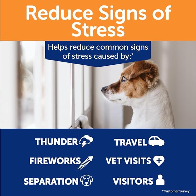 ThunderBites Dog Calming Chews, Thiamine, L-Tryptophan, Melatonin and Ginger, Can Help Relieve Stress from Separation, Storms, Fireworks & Travel (180 Count), formerly ThunderWunders