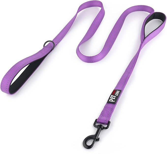 Plutus Pet Double Handle Dog Leash 5ft, Heavy Duty, Reflective Dual Handle Dog Leash for Safety Training, for Medium Large Dogs,2 Handle Leads(Purple)