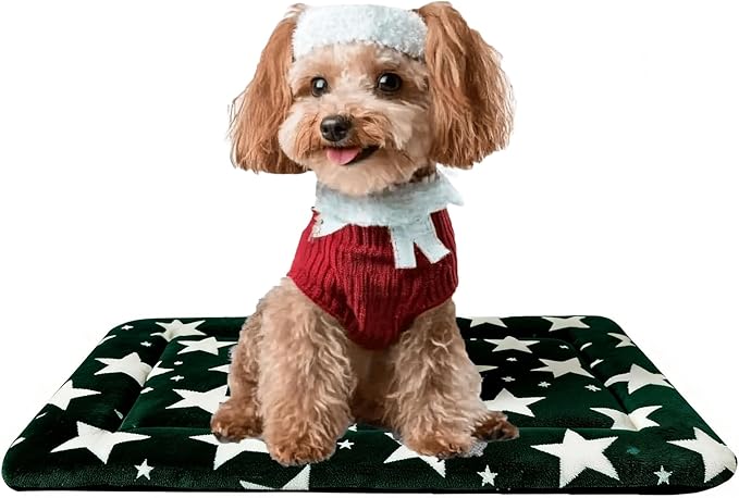 Fogkiss Dog Bed Mat, Reversible Dog Crate Pad with Washable Kennel Mat and Soft Foam, Pet Bed for Dogs & Cats, for Crates Carriers & Travel (Big&Small Stars Green, 24" L*18" W*1.5" Th)