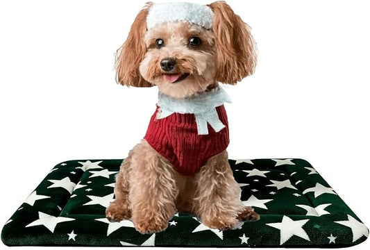 Fogkiss Dog Bed Mat, Reversible Dog Crate Pad with Washable Kennel Mat and Soft Foam, Pet Bed for Dogs & Cats, for Crates Carriers & Travel (Big&Small Stars Green, 24" L*18" W*1.5" Th)