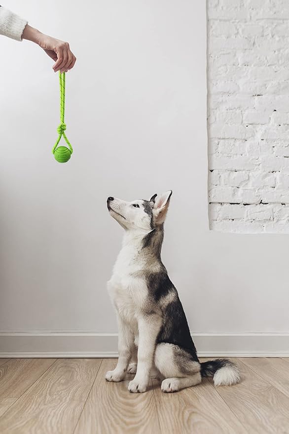 Dog Training Ball on A Rope Rubber Dog Rope Toys Ball with Handle for Tug of War K9 Training Rewards for Belgian Malinois Gifts, 6cm in Diameter for Medium Dogs 30-60 Lbs, Pack of 4
