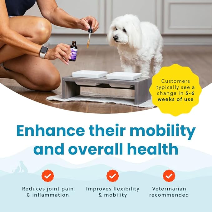 Paramount Pet Health Liquid Glucosamine for Small Dogs, 260mg Glucosamine Liquid for Dogs Joint Supplement for Mobility & Comfort, Easy-to-Use Liquid MSM & Chondroitin, 2 oz