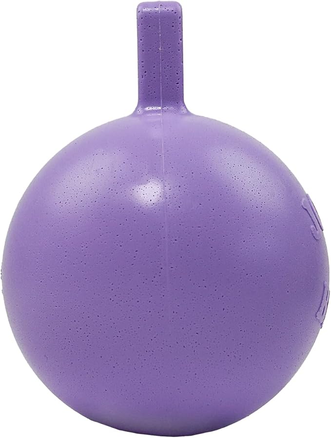 Jolly Pets Tug-n-Toss Heavy Duty Dog Toy Ball with Handle, 8 Inches/Large, Light Purple