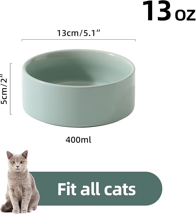 Havniva Ceramic 5.1inch Set of 2 Dog and Cat Bowls, 2pcs Anti-Slip Food and Water Feeder Dishes for Puppies, Kitties, Cats(2 Bowls, Light Green)