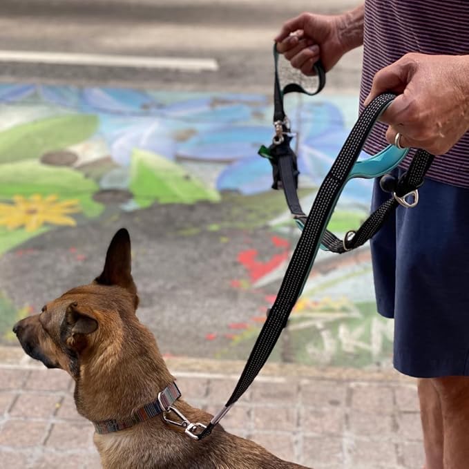 Dog Poop Bag Holder with Dispenser & Storage Pouch - Includes Adjustable Reflective Dog Leash (6FT Bungee, Padded Handles) - Durable Leash for Walking, Training & Travel (Teal)