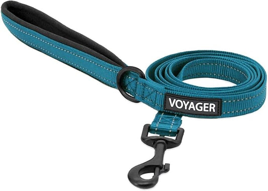 Best Pet Supplies Voyager Reflective Dog Leash or Collar with Neoprene Handle, for Small, Medium, and Large Breed Puppies, Cute and Heavy Duty for Walking, Running and Training - Turquoise (Leash), M