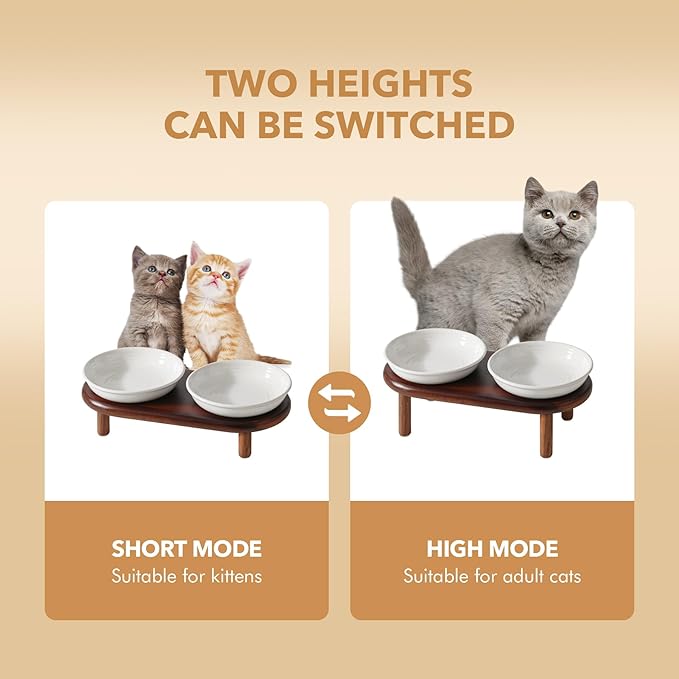 Elevated Ceramic Cat Dish, Wide Whisker Friendly Anti-Slip Food & Water Bowl with 2 Heights Adjustable Acacia Wooden Stand - Pet Bowl Set for Cats (2 Dishes +Stand, White)