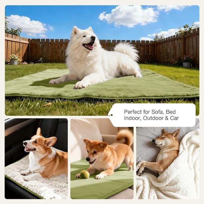 Lekereise Reversible Waterproof Dog Blanket, Super Soft Couch Cover for Dogs, Washable Leak-Proof Protector for Sofa Bed Car Seat, for Cats to Large Dogs (Green, 30" x 40")
