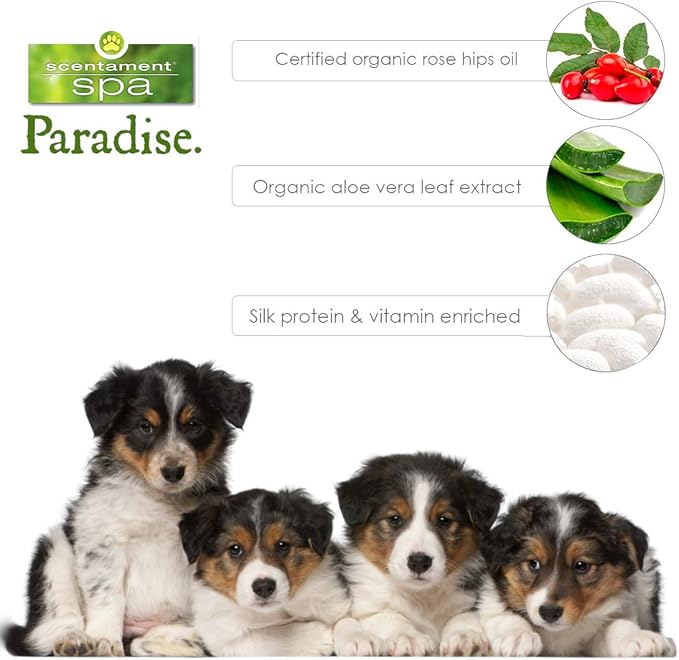 Best Shot Scentament Spa Caressing Puppy Wash, Mandarin Jasmine Honey, 1 Gallon