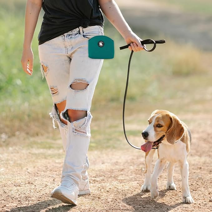 COOWONE Dog Treat Pouch Magnetic Closure Small Dog Training Treat Pouch Pocket Sized Small Dog Treat Pouch with Clip (Green)
