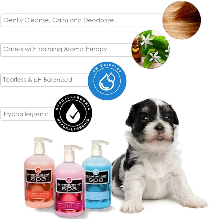 Best Shot Scentament Spa Caressing Puppy Wash, Mandarin Jasmine Honey, 1 Gallon