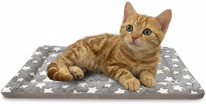 Dog Bed Mat, Dual-Sided Dog Crate Bed Mat - Ultra Soft & Machine Washable Kennel Pad for Cats and Extra Small Dogs, All-Season Comfort Pet Bed for Crates, Travel, and Home, Gray 18 x 14 Inch