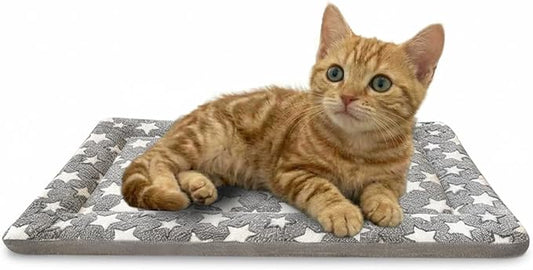 Dog Bed Mat, Dual-Sided Dog Crate Bed Mat - Ultra Soft & Machine Washable Kennel Pad for Cats and Extra Small Dogs, All-Season Comfort Pet Bed for Crates, Travel, and Home, Gray 18 x 14 Inch