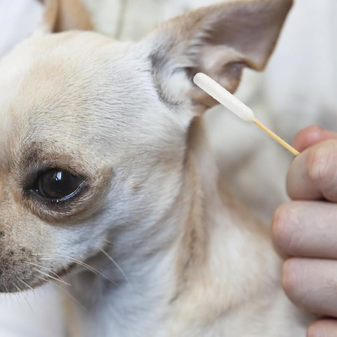 6-Inch Long Cotton Swabs for Pets - 200 Pcs Bamboo Cotton Swabs for Dog Ear Cleaning, Grooming, Wound Care, Craft Projects, and First Aid - Perfect for Pet Owners, Groomers, Vets, and General Users