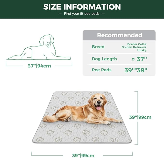 FXW Washable Pee Pads for Dogs, Leak-Proof & Non-Slip, Specifically Designed for Potty Training, Square, 39" x 39", 2 Packs