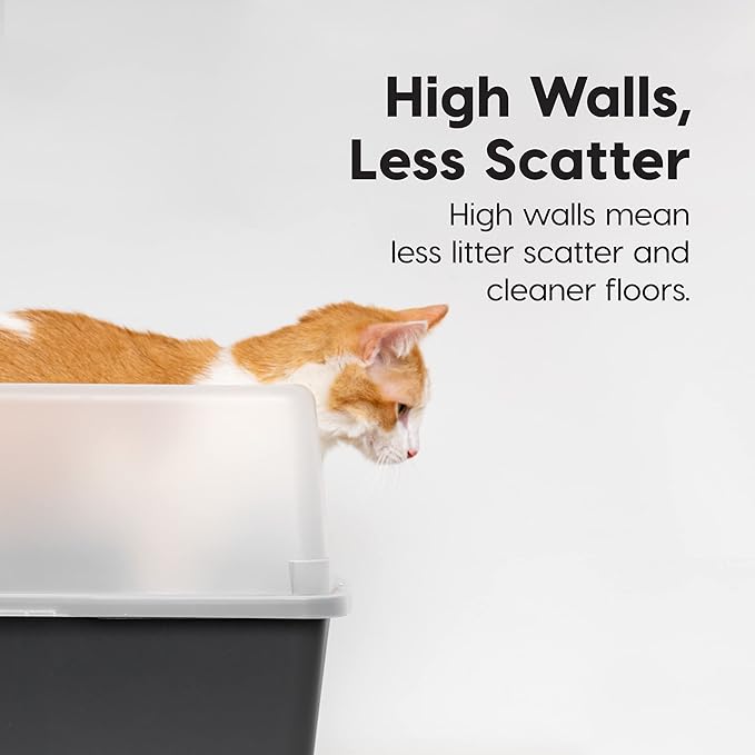 IRIS USA 2 Pack Large Open Top Cat Litter Box with High Sides, Scatter Shield & Scoop, Black, for Indoor Cats, Kittens or Multicat Homes