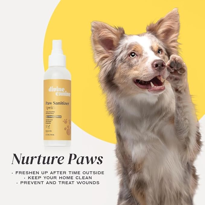 Dog Paw Cleaner - Alcohol Free Paw Cleansing Spray - Made with Coconut, Aloe, Copaiba Oil, and Lemongrass Oil to Nourish and Clean Paws - Made in The USA (Original 2 Oz)