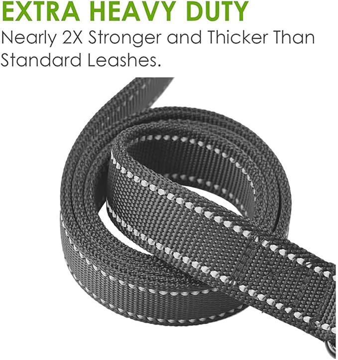 Heavy Duty Dog Leash - 2 Handles by Padded Traffic Handle for Extra Control, 6foot Long - Perfect for Medium to Large Dogs (6 ft, Black)