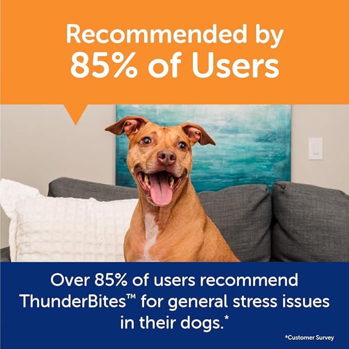 ThunderBites Dog Calming Chews, Thiamine, L-Tryptophan, Melatonin and Ginger, Can Help Relieve Stress from Separation, Storms, Fireworks & Travel (180 Count), formerly ThunderWunders