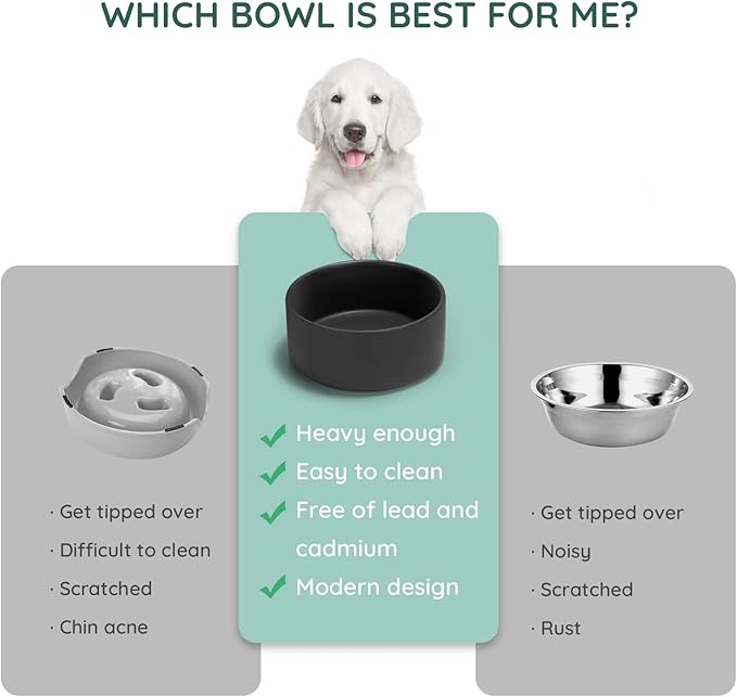 SPUNKYJUNKY 60OZ Ceramic Dog and Cat Bowl, Modern Cute Weighted Food Water Bowl for Replacement Black (2 Pack)