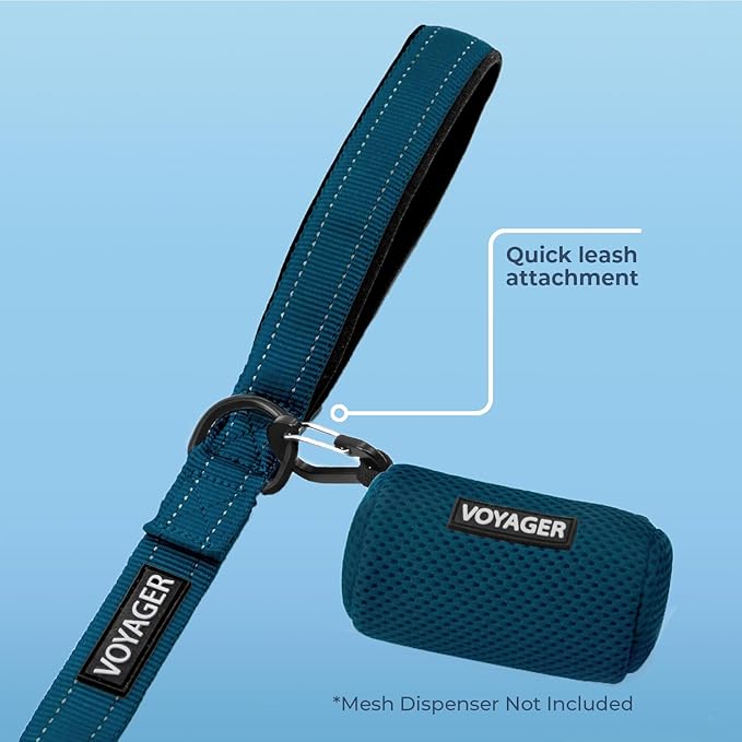 Best Pet Supplies Voyager Reflective Dog Leash or Collar with Neoprene Handle, for Small, Medium, and Large Breed Puppies, Cute and Heavy Duty for Walking, Running and Training - Blue (Leash), L