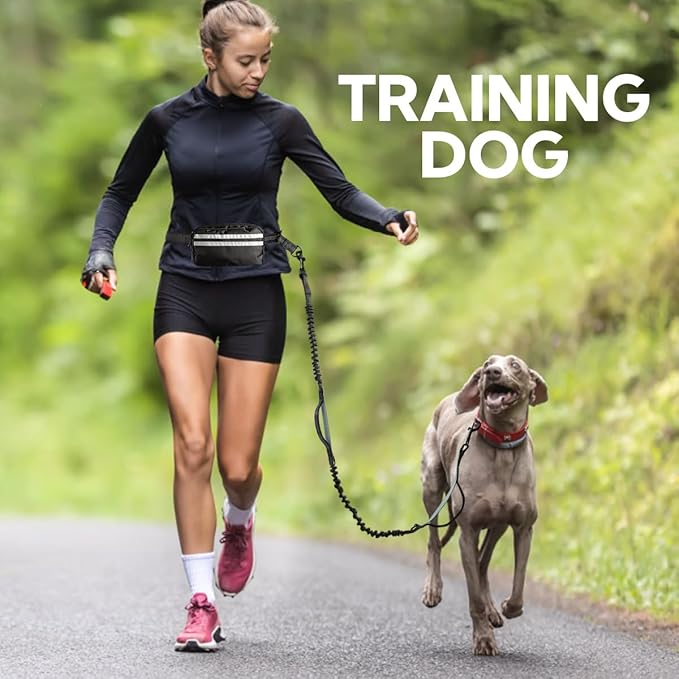 Hands Free Dog Leash with Pouch, Retractable Bungee with Double Padded Handles, Dog Leashes with Bungee for Medium & Large Puppy
