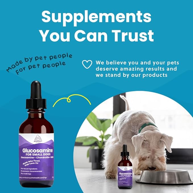 Paramount Pet Health Liquid Glucosamine for Small Dogs, 260mg Glucosamine Liquid for Dogs Joint Supplement for Mobility & Comfort, Easy-to-Use Liquid MSM & Chondroitin, 2 oz