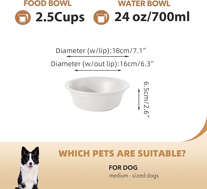 Ceramic 7.1inch Set of 2 Dog Bowls for Medium Dogs, 2pcs Basic 2.5 Cup Food or 24 oz Water Dishes for Replacement, Wide Opening Rounded Edge(2 Bowls, Matt White)