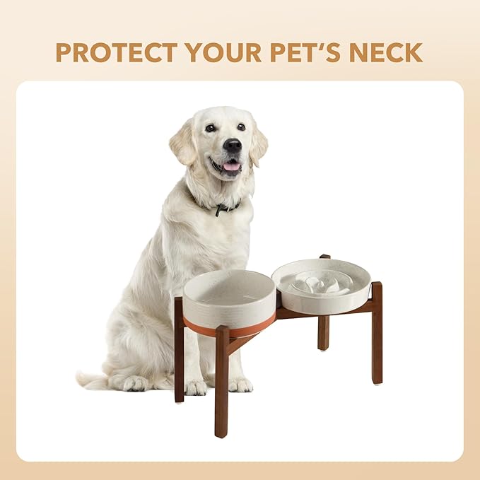 Ceramic 3.2 Cup Raised Slow Feeder Dog Bowl Set, Elevated 8.2inch Bowl and 9.5inch Dish with Acacia Wood Stand for Large Dogs(2 x Vanilla White+ Stand)