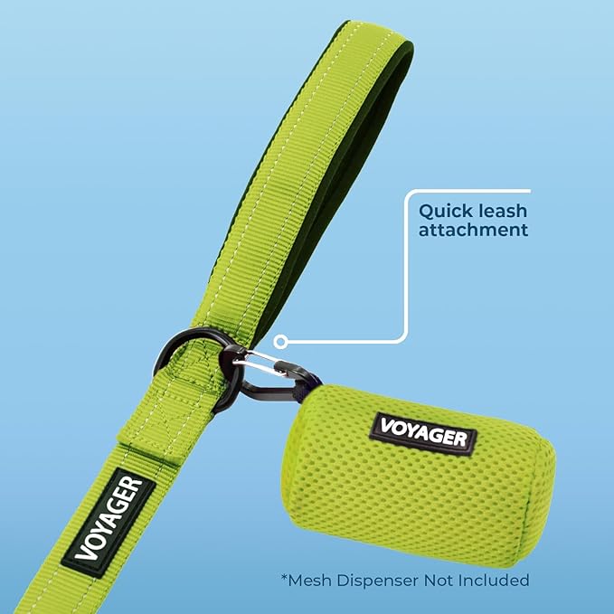 Best Pet Supplies Voyager Reflective Dog Leash or Collar with Neoprene Handle, for Small, Medium, and Large Breed Puppies, Cute and Heavy Duty for Walking, Running and Training - Lime Green (Leash), M