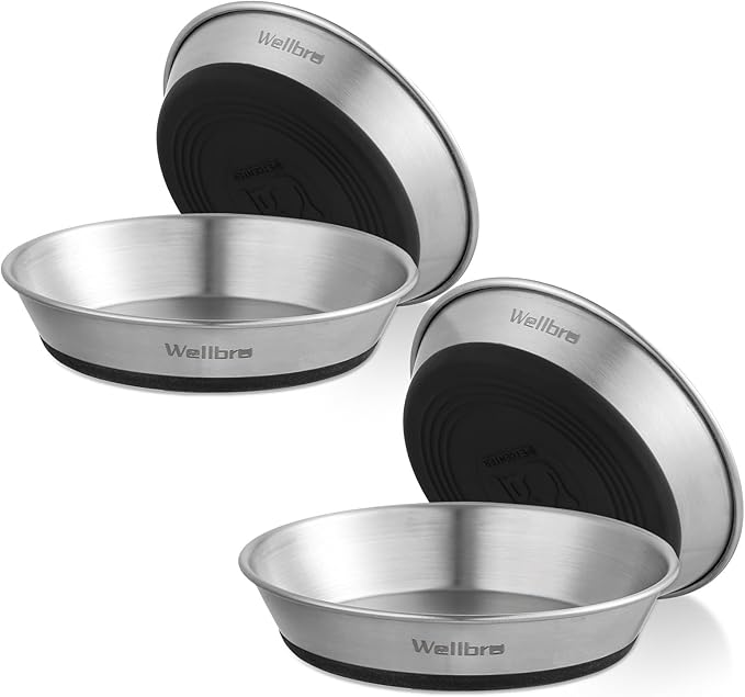 Wellbro Cat Bowls, 4 Pcs Stainless Steel Pets Bowls for Food and Water, Whisker Fatigue Shallow Non-Slip Cat Dishes Plates for Small Dog Puppies Cats