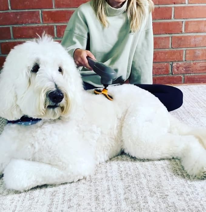 PERK Percussion Pet Massager for Dogs and Cats Designed to Help Massage Muscle Tightness, Improve Mobility and Recovery