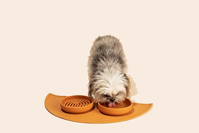 Should We Go? Dog Water Bowl - The Perfect Dish No-Spill, Less Mess Non-Tippable Water & Food Bowl, Silicone with Suction Cup, Fits 2 Cups 6” Across x 1.25” Tall, Ideal for All Pets, Small-Terracotta