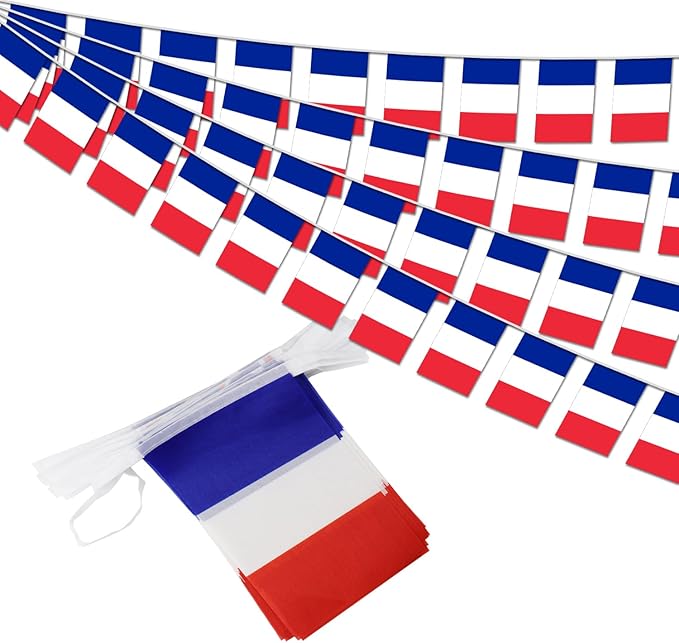 France String Flag Pennant Banner - 38 Flags, 42 Feet Small Mini French Flags Bunting Banner for Country Decoration, School, Party, Sports Events