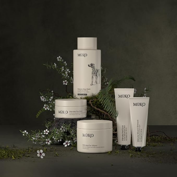 MoKo - Dog Paw Wax 60 g (2.1 oz) - Moisturizing Dog Paw Balm with Manuka Honey - Creates Barrier That Protects and Heals Dry Cracked Paws & Noses - Made with Natural Beeswax